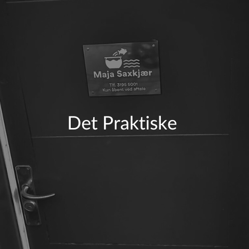Kopi af Din afsnitstekst